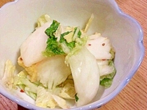 白菜の簡単漬物